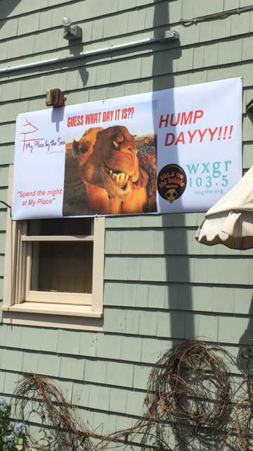 hump day sign